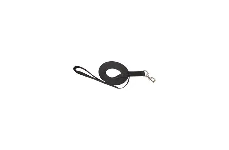 Boston Leather Nylon Tracking Lead 30' Brass